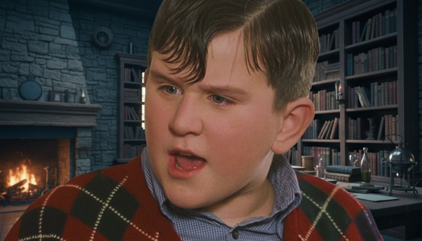 From Background to Backbone: Every Harry Potter Muggle Ranked