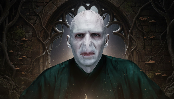 Harry Potter Did What Dumbledore and Voldemort Never Could