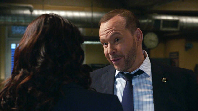 CBS Delayed Blue Bloods Season 14 and Now They Want Fans' Help CBS Delayed Blue Bloods Season 14 and Now They Want Fans' Help