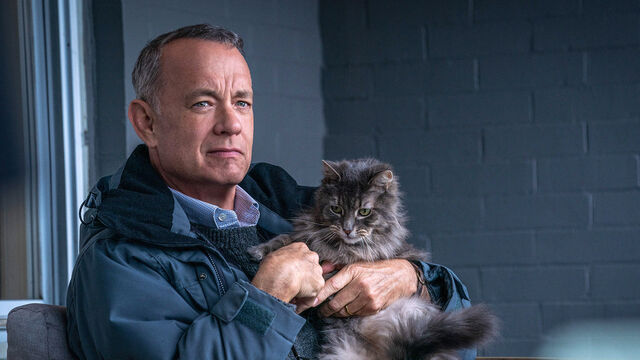 Tom Hanks Predicted Grim Future for Hollywood Because of AI Takeover Tom Hanks Predicted Grim Future for Hollywood Because of AI Takeover