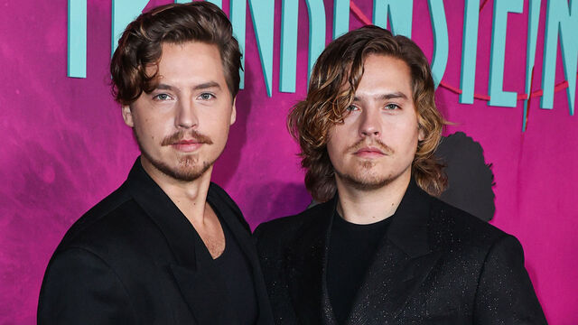 Why Would the Sprouse Brothers Be Embarrassed to Meet Matt Damon Again? Why Would the Sprouse Brothers Be Embarrassed to Meet Matt Damon Again?