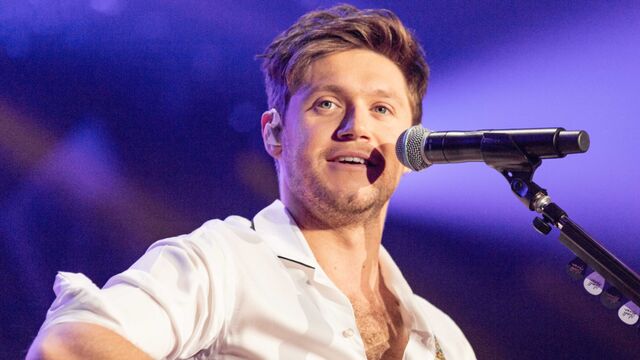 Niall Horan's Meltdown Update Causes an Actual Fan Meltdown on Twitter