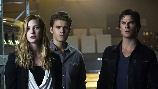 Then & Now: See the Cast of The Vampire Diaries 14 Years Later Then & Now: See the Cast of The Vampire Diaries 14 Years Later