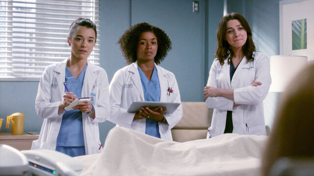The Moment That Sent Grey's Anatomy Spiraling Downhill (Only to Never Recover)