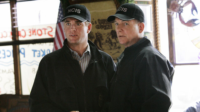 20 Years Later, Here's The Richest Member of NCIS Cast 20 Years Later, Here's The Richest Member of NCIS Cast