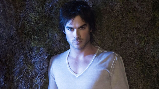 5 Worst Things Damon Ever Done on The Vampire Diaries 5 Worst Things Damon Ever Done on The Vampire Diaries