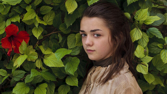 GoT's Maisie Williams Tried Her Hardest to Keep Arya Book-Accurate