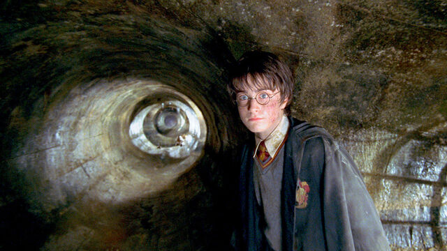 Why Couldn't Harry Potter Control the Basilisk?