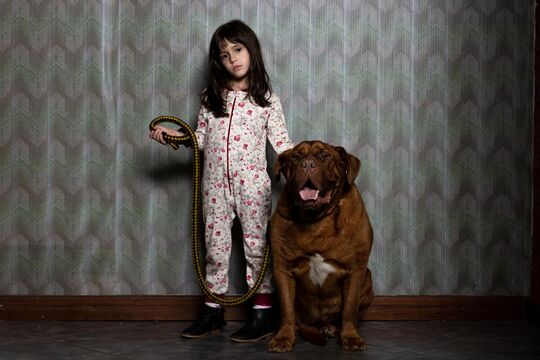 When Evil Lurks and 4 Other Most Terrifying Horror Movies of the Last Decade