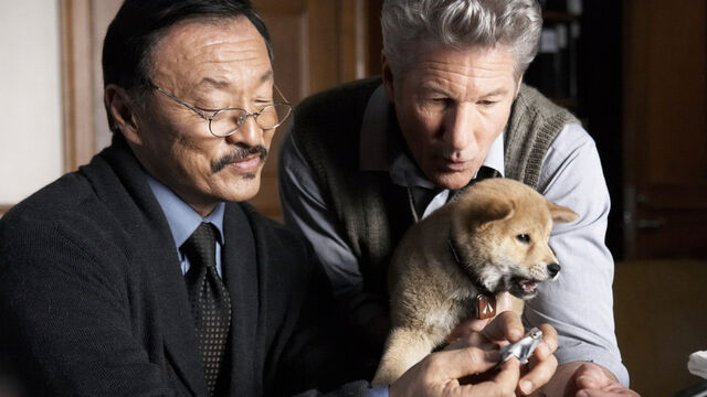 5 Saddest Movies For Dog Lovers to Avoid (Unless You Want to Cry)