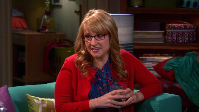 Melissa Rauch's Mistake Got a Scene Banned From Big Bang Theory Melissa Rauch's Mistake Got a Scene Banned From Big Bang Theory