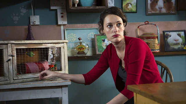 Fleabag's Complicated Charm: Can We Forgive Her Flaws as She Evolves?