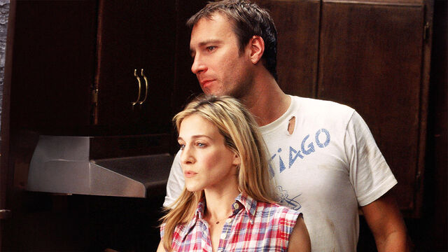 5 Ways Aidan Was Even More Toxic Than Carrie in Sex and the City 5 Ways Aidan Was Even More Toxic Than Carrie in Sex and the City