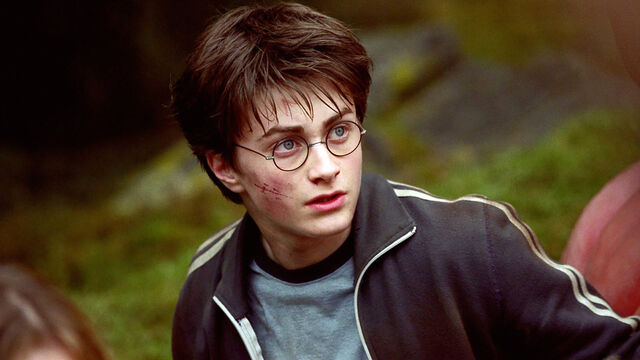 Don't Expect Daniel Radcliffe Back for a Cameo in Harry Potter TV Show
