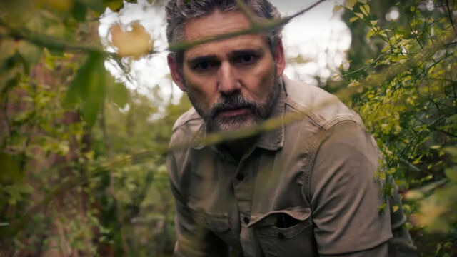 Is Netflix's Untamed Really a Limited Series? Season 2 Could Happen Is Netflix's Untamed Really a Limited Series? Season 2 Could Happen