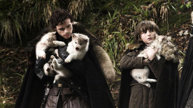 You Saw This Coming: Smartest Game of Thrones Character, per Reddit
