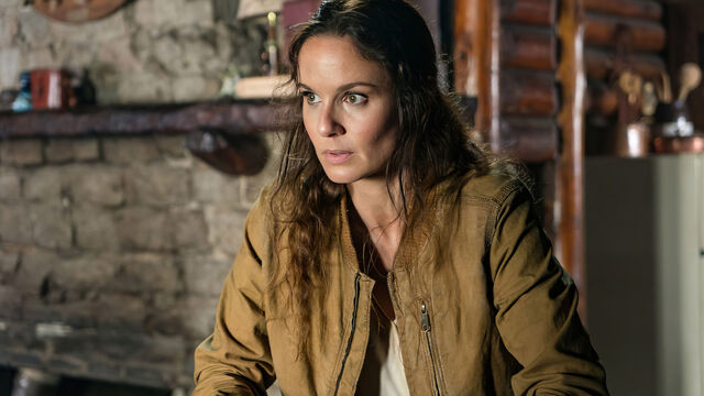 If Westworld Is Up Your Alley, Here are 10 Shows to Binge Next, Ranked