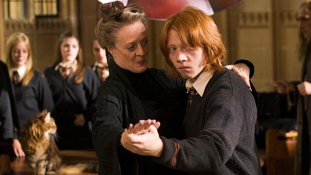What Would Your Job Be in the Wizarding World of Harry Potter?