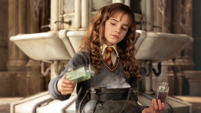 Surprising Reason Emma Watson's Harry Potter Body Double Took Center Stage