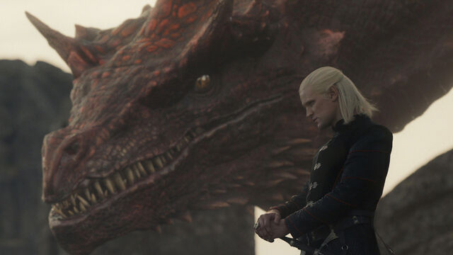 How Big is Vermithor Compared to Vhagar on House of the Dragon?