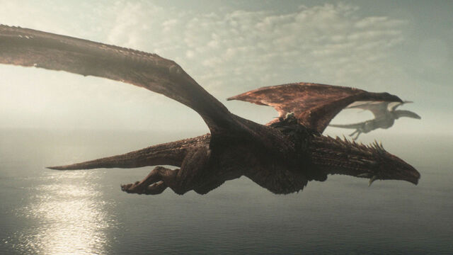 From Cute to Fearsome: House of the Dragon's Dragons Ranked by Reddit