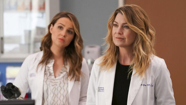 Grey's Anatomy Backlash: Fans Slam the Show's Portrayal of Women and Motherhood Grey's Anatomy Backlash: Fans Slam the Show's Portrayal of Women and Motherhood