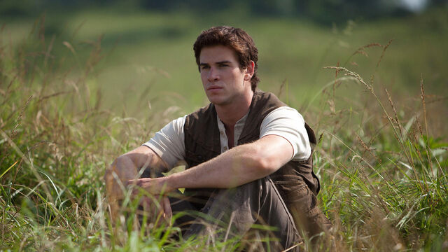 3 Stars Who Almost Stole Liam Hemsworth's Hunger Games Role