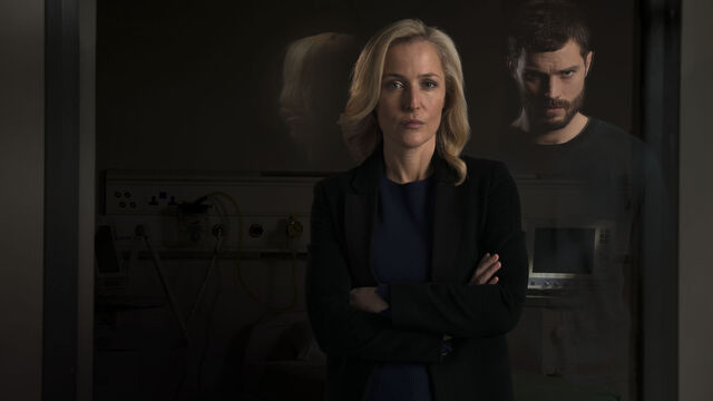 The Fall and 3 Other TV Series About Serial Killers to Watch After You Season 5 The Fall and 3 Other TV Series About Serial Killers to Watch After You Season 5