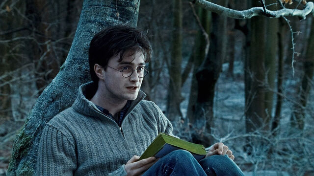 The Deeper Meaning of Deathly Hallows Scene Only Adults Will Understand The Deeper Meaning of Deathly Hallows Scene Only Adults Will Understand