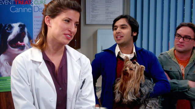 Top 5 The Big Bang Theory Raj's Girlfriends, Ranked by Fans