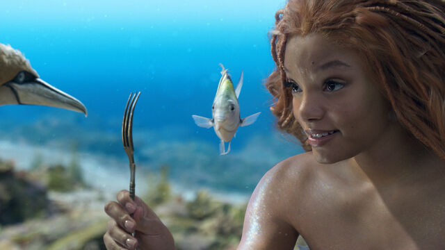 Little Mermaid's Review-Bombing Leads to IMDb's Rating System Shake-Up Little Mermaid's Review-Bombing Leads to IMDb's Rating System Shake-Up