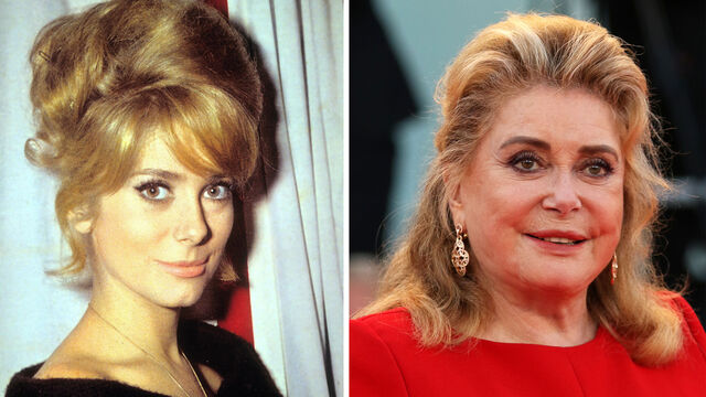 Then and Now: What 6 Biggest Sex Symbols of the 20th Century Cinema Look Like Today