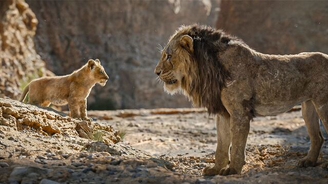 The Lion King Set for Another Reign? Disney Eyes New Chapter After $3.3 Billion Haul The Lion King Set for Another Reign? Disney Eyes New Chapter After $3.3 Billion Haul
