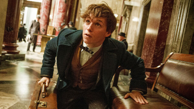 David Yates Confirms What We Already Suspected About Fantastic Beasts David Yates Confirms What We Already Suspected About Fantastic Beasts