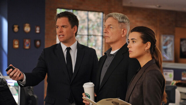 3 NCIS Stars We Probably Won't Be Seeing Next Season 3 NCIS Stars We Probably Won't Be Seeing Next Season
