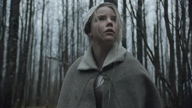 From The Witch to The Northman: All 4 Robert Eggers Movies, Ranked by RT Score