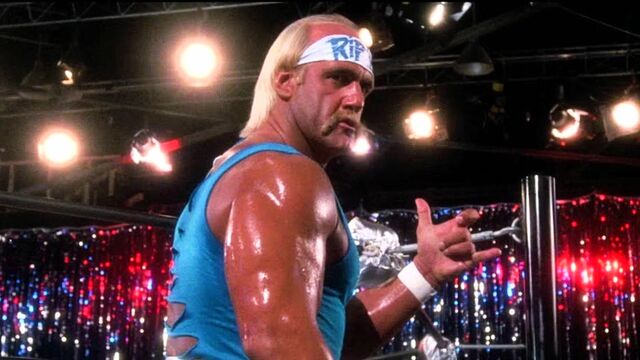 Hulk Hogan's Widow Sky Daily Plotting Lawsuit After His Death Hulk Hogan's Widow Sky Daily Plotting Lawsuit After His Death