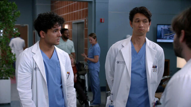 Grey's Anatomy Season 20 Release Date Might Be Delayed Grey's Anatomy Season 20 Release Date Might Be Delayed