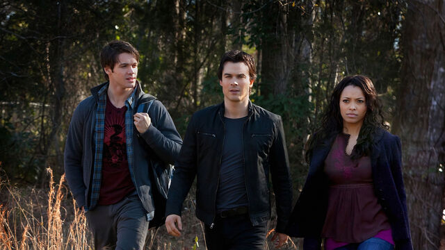 Forget Delena: These 5 Fan Ships Deserved to Be TVD Canon Forget Delena: These 5 Fan Ships Deserved to Be TVD Canon