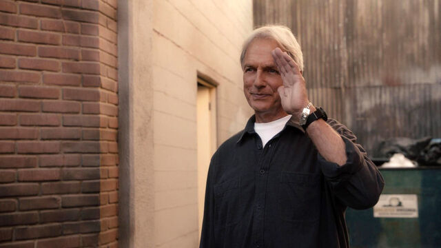 NCIS Won't Return This Fall, But NCIS: Sydney Spinoff Debuts in 2023