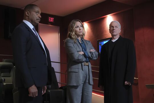 The NCIS Ultimate Star Almost Rejected the Role, Here's Why