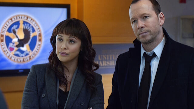 Here's Why Blue Bloods Fans Are So Against Daez Ship