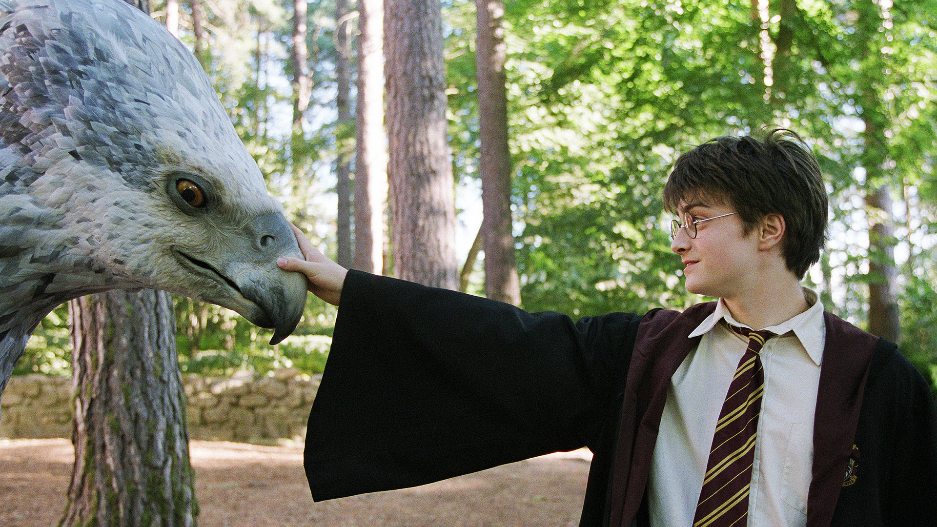 7 Harry Potter Fan Theories So Good, Remake Should Make Them Canon 