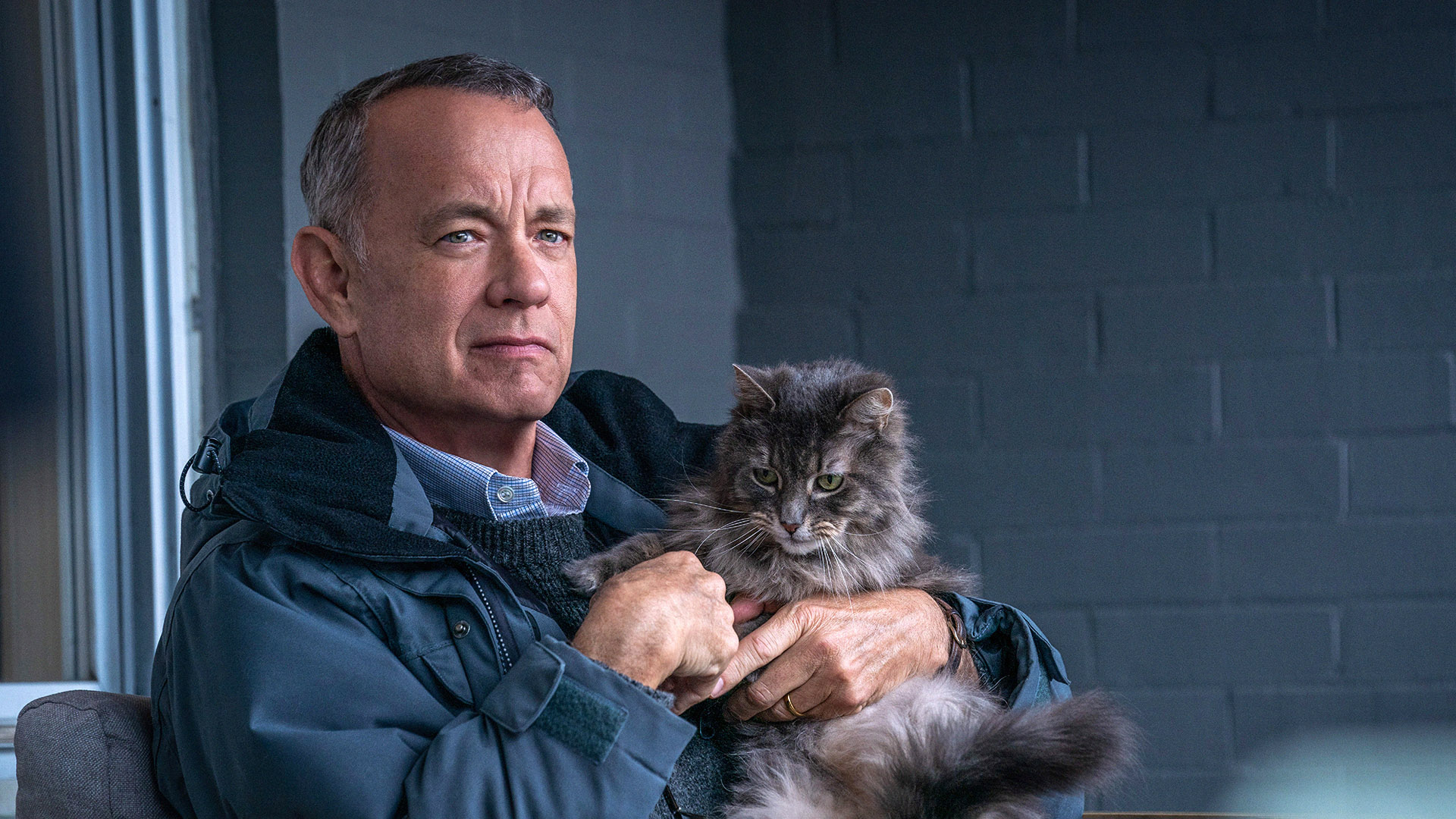 Tom Hanks Predicted Grim Future for Hollywood Because of AI Takeover