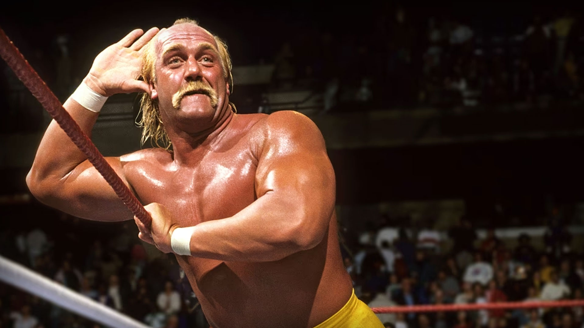 Hulk Hogan Missing From Emmys In Memoriam: Ex-Wife Reveals the Jaw-Dropping Reason
