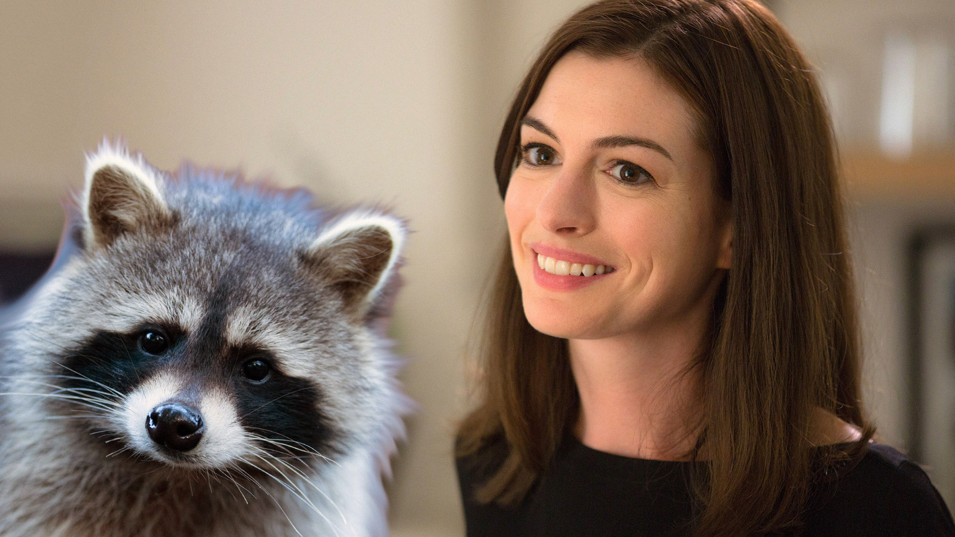 Anne Hathaway Was Upstaged by Raccoons During a Play in Central Park