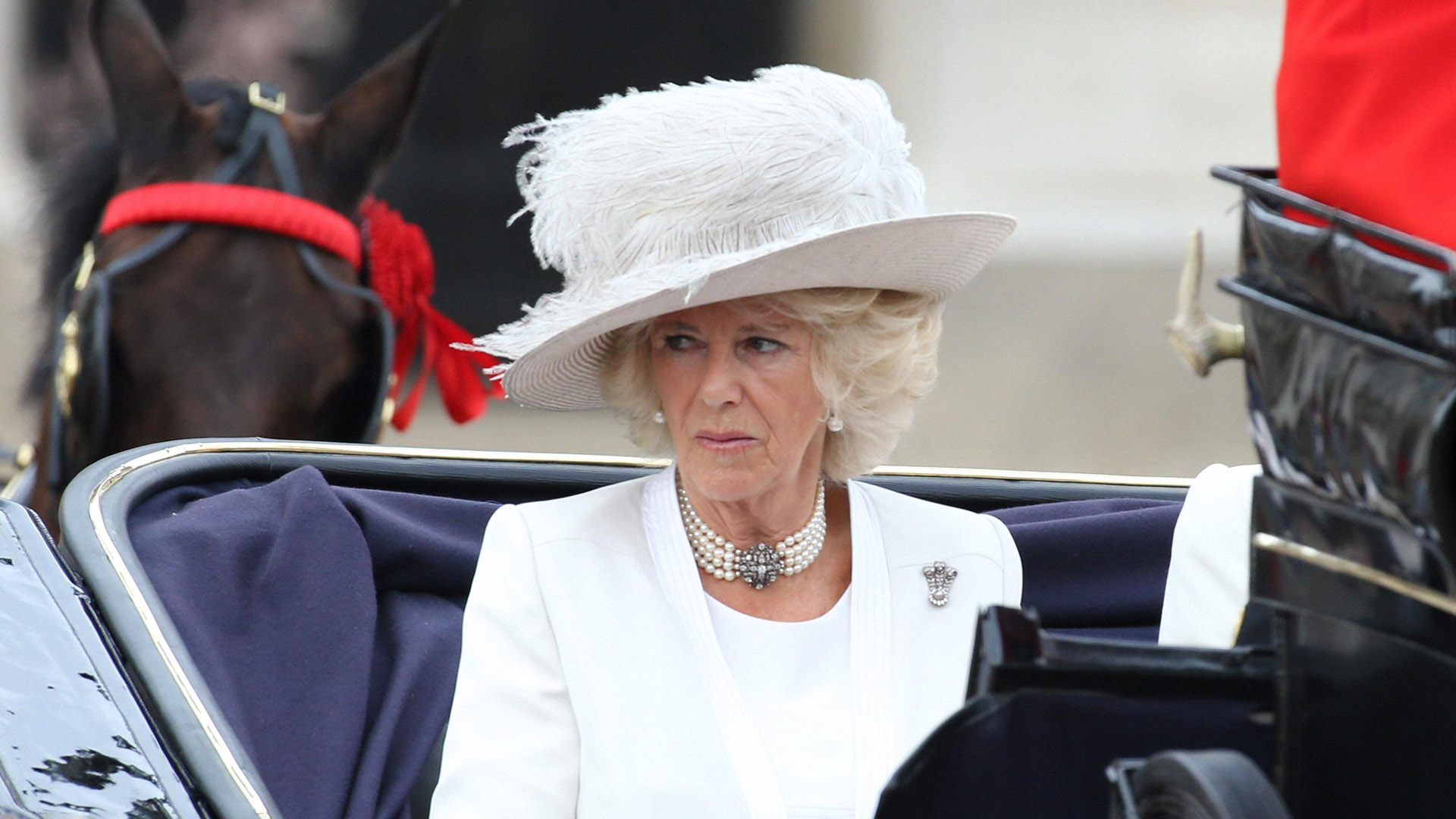 Not-So-Royal Reality: What Happened to Queen Camilla's Ex-Husband?