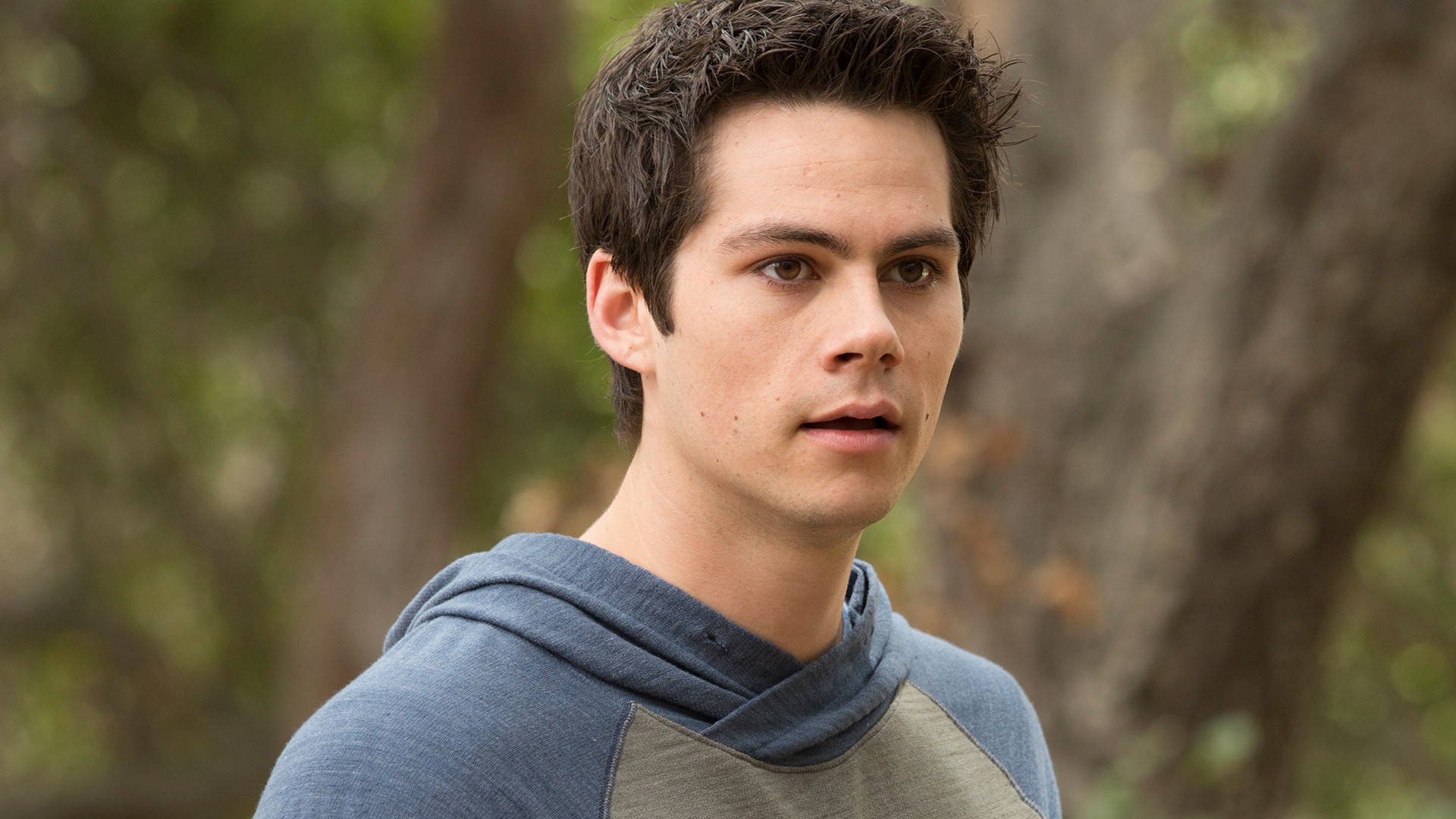 Quiz: Which Teen Wolf Character Is Your Spirit Animal?