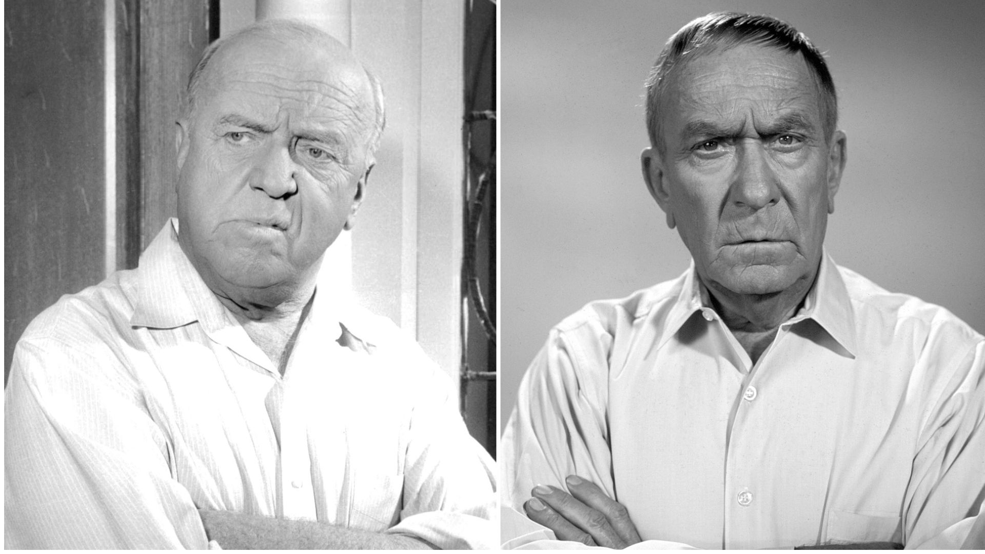 Here's the Real Reason Why William Frawley Was Replaced on My Three Sons