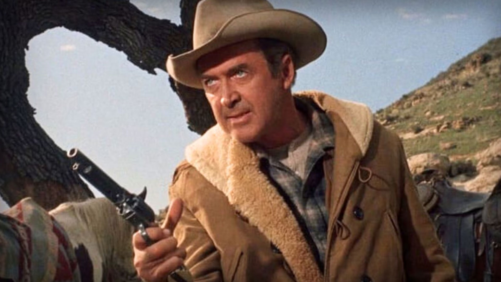 The Only Co-Star James Stewart Hated—And Why